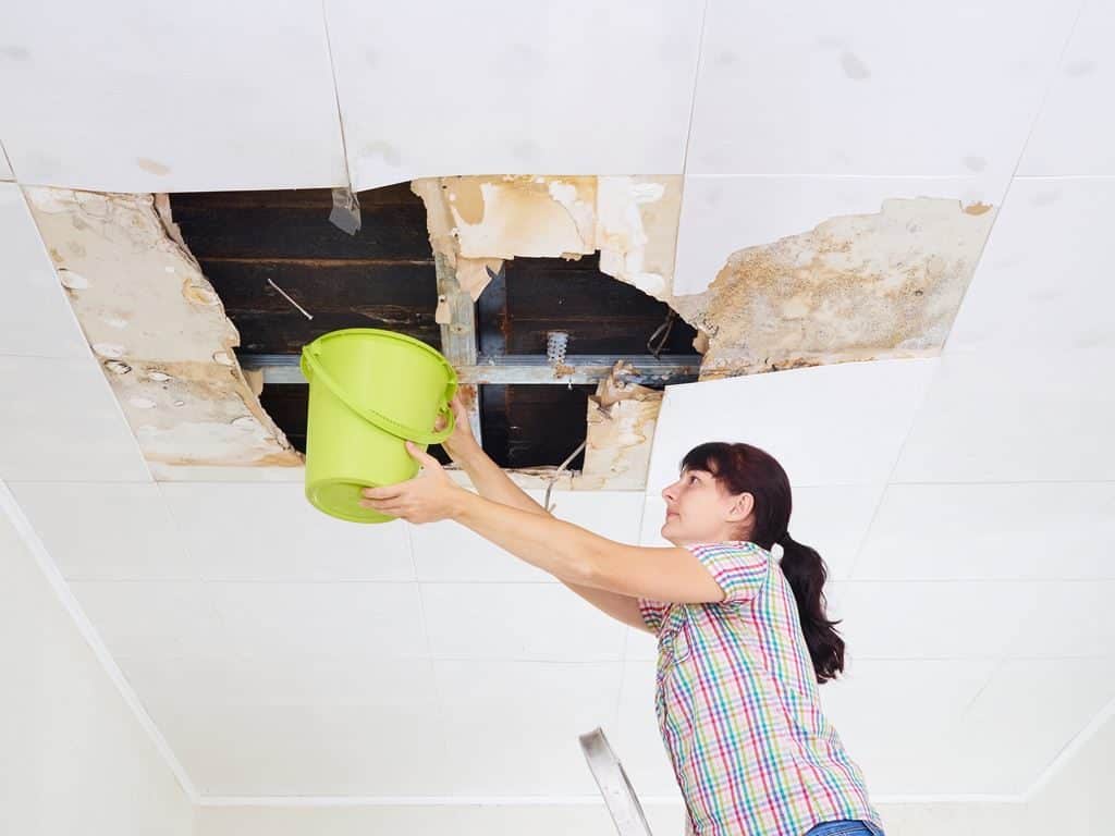 A woman on a ladder clutches a green bucket beneath a large hole in the ceiling, evident of water damage and peeling paint. She strives to catch the dripping water while contemplating necessary roof leak repairs. The room features white walls and a ceiling grid.