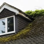 A close-up of a house roof with dark shingles, partially covered in green moss, suggests its time to replace your asphalt shingle roof. A dormer window is visible, surrounded by white trim. Vegetation grows along the edge, contrasting with the overcast sky in the background.