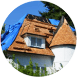 A charming small house with wooden siding and a vibrant blue roof, serviced by residential roofing experts, is surrounded by lush green shrubbery. The roof features dormer windows, and a tree peeks into view from the background.