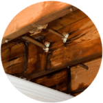 Water-damaged wooden ceiling with exposed beams, pipes, and metal brackets suggests a need for residential roofing services.
