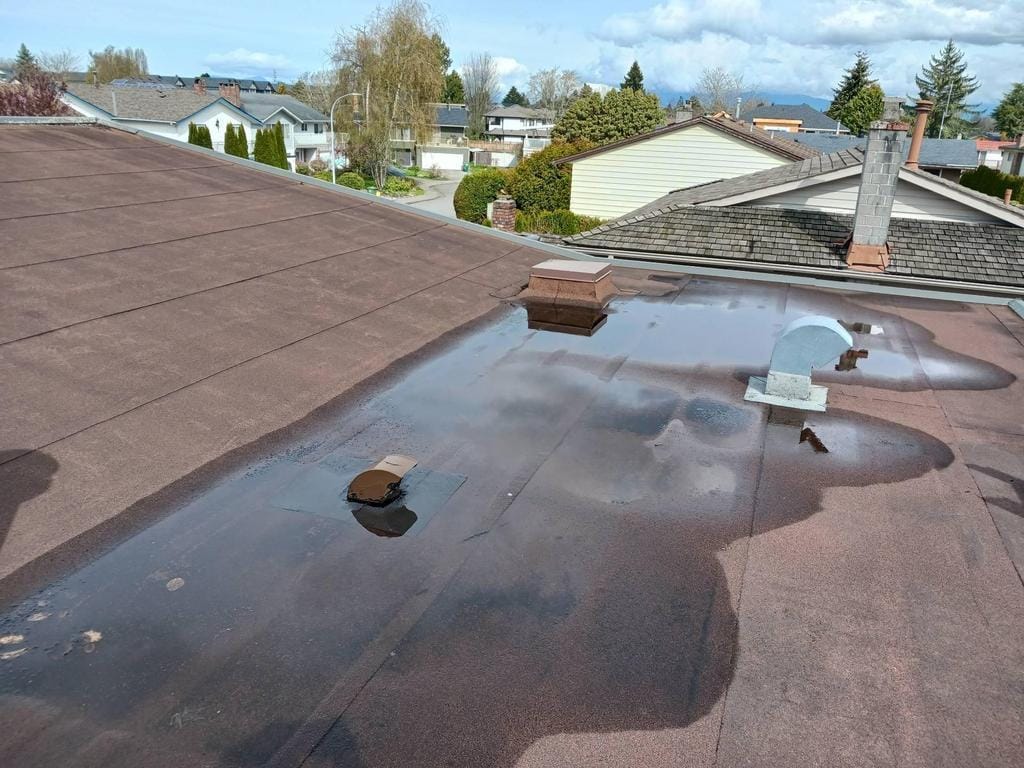 A residential roof displays a large puddle of standing water—a clear sign of roofing deficiencies. Several vents and chimneys are present, with nearby houses and trees in the background under a partly cloudy sky.
