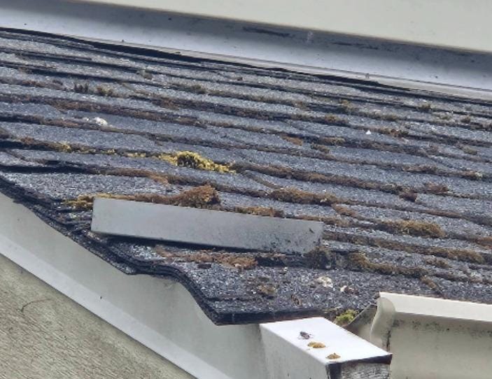A close-up of a house roof with damaged, uneven asphalt shingles, visible moss, debris, and a loose metal strip hints at the need for roof replacement—an inspection that Absolute Roof Solutions often provides for any housing cooperative or homeowner.