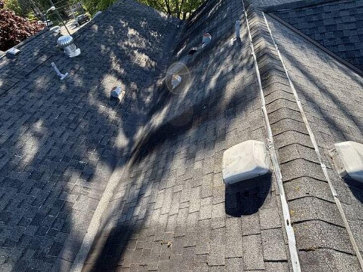 View of a shingled roof with several vent covers and pipes; sunlight creates a lens flare. Shadows from nearby trees are cast across the roof—an ideal scene to assess for housing cooperative roof replacement by Absolute Roof Solutions.