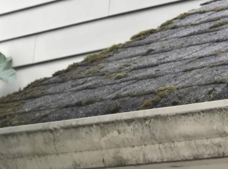 A close-up of a house roof with gray shingles, patches of moss growth, and a white, dirty gutter shows the need for roof replacement—something Absolute Roof Solutions specializes in. Horizontal white siding is visible in the background.